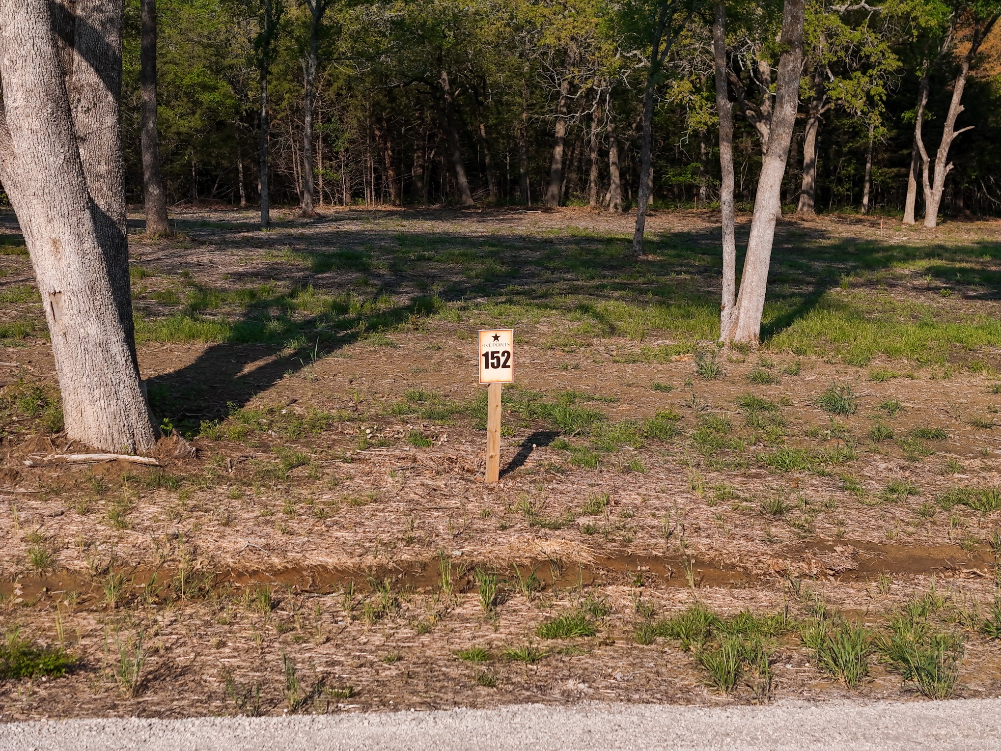 254 Timberland Heights Windom TX 75492