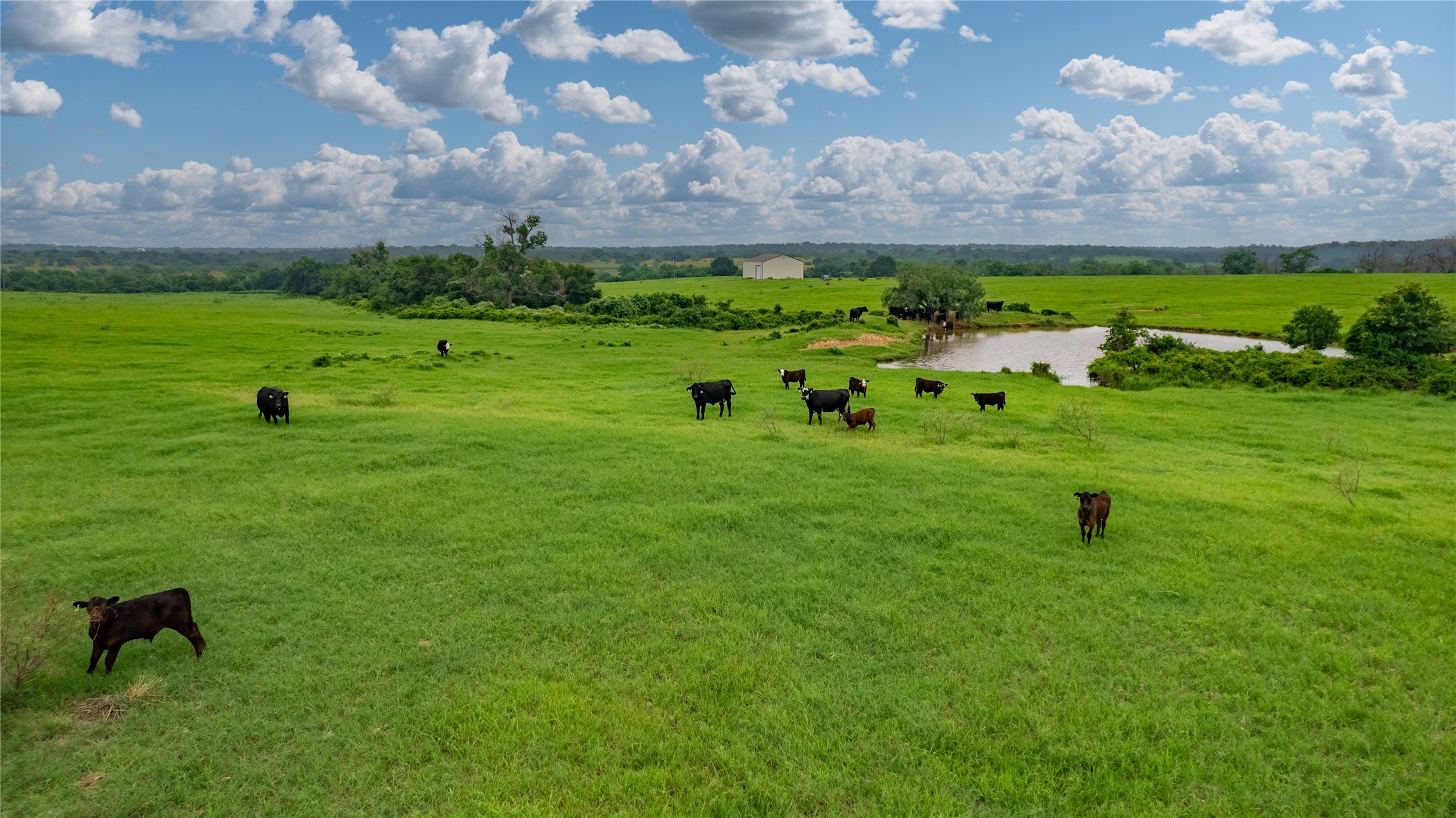 4799 Fm-45 Richland Springs TX 76871