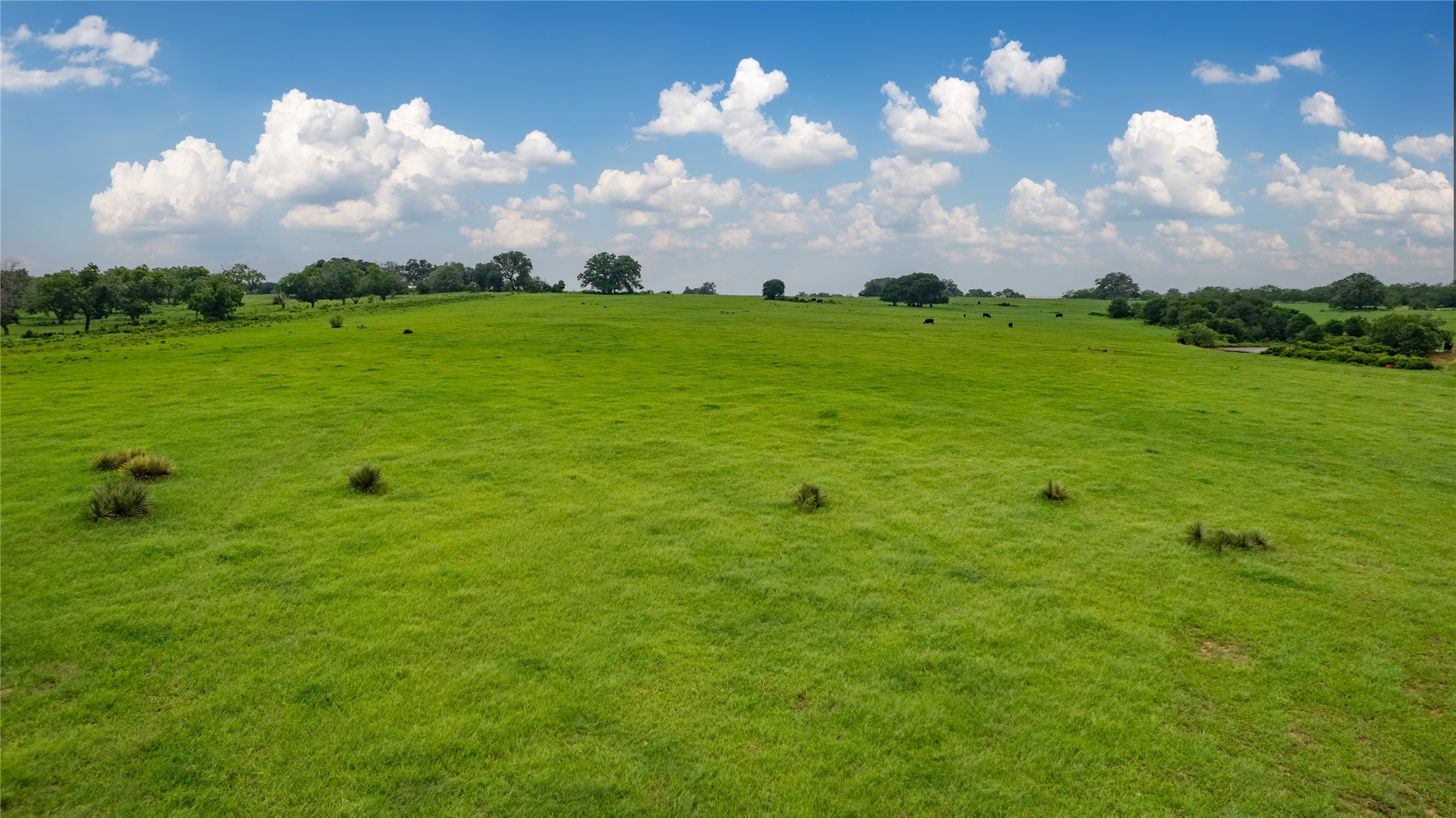 4799 Fm-45 Richland Springs TX 76871