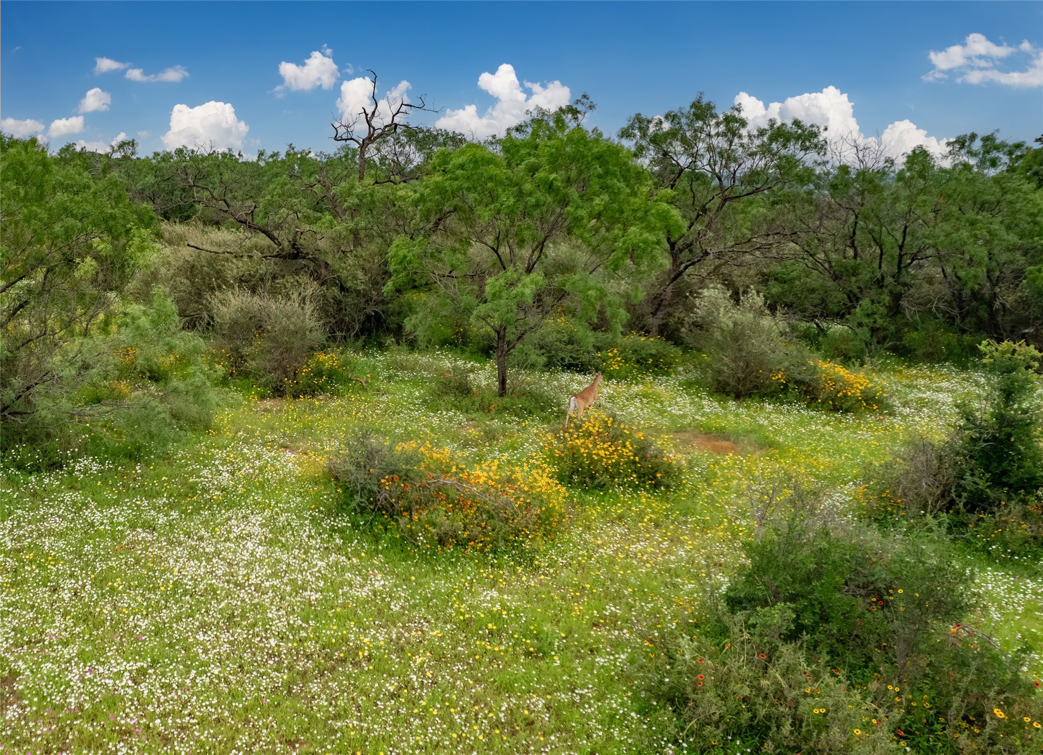 4799 Fm-45 Richland Springs TX 76871