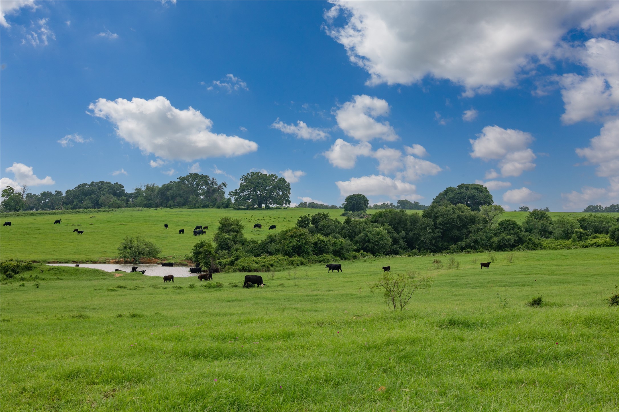 4799 Fm-45 Richland Springs TX 76871