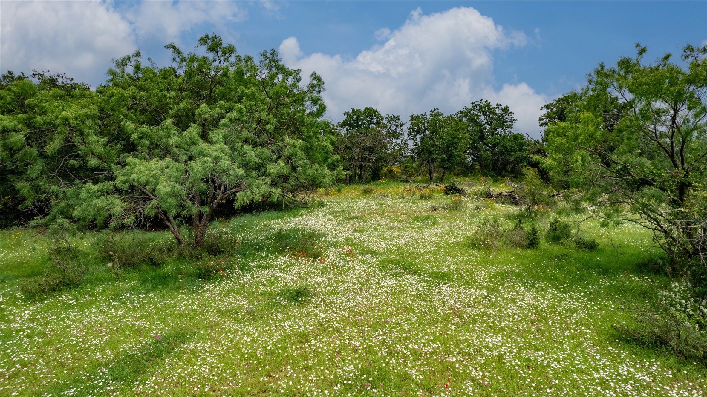 4799 Fm-45 Richland Springs TX 76871