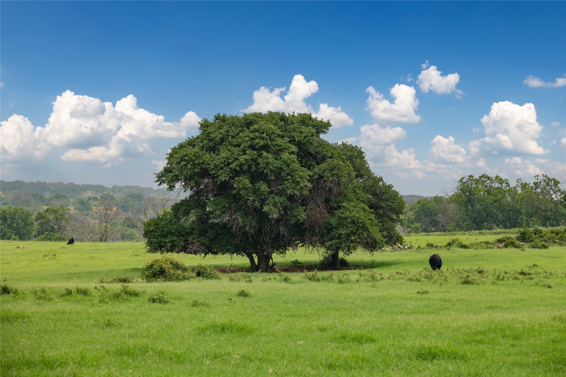 4799 Fm-45 Richland Springs TX 76871