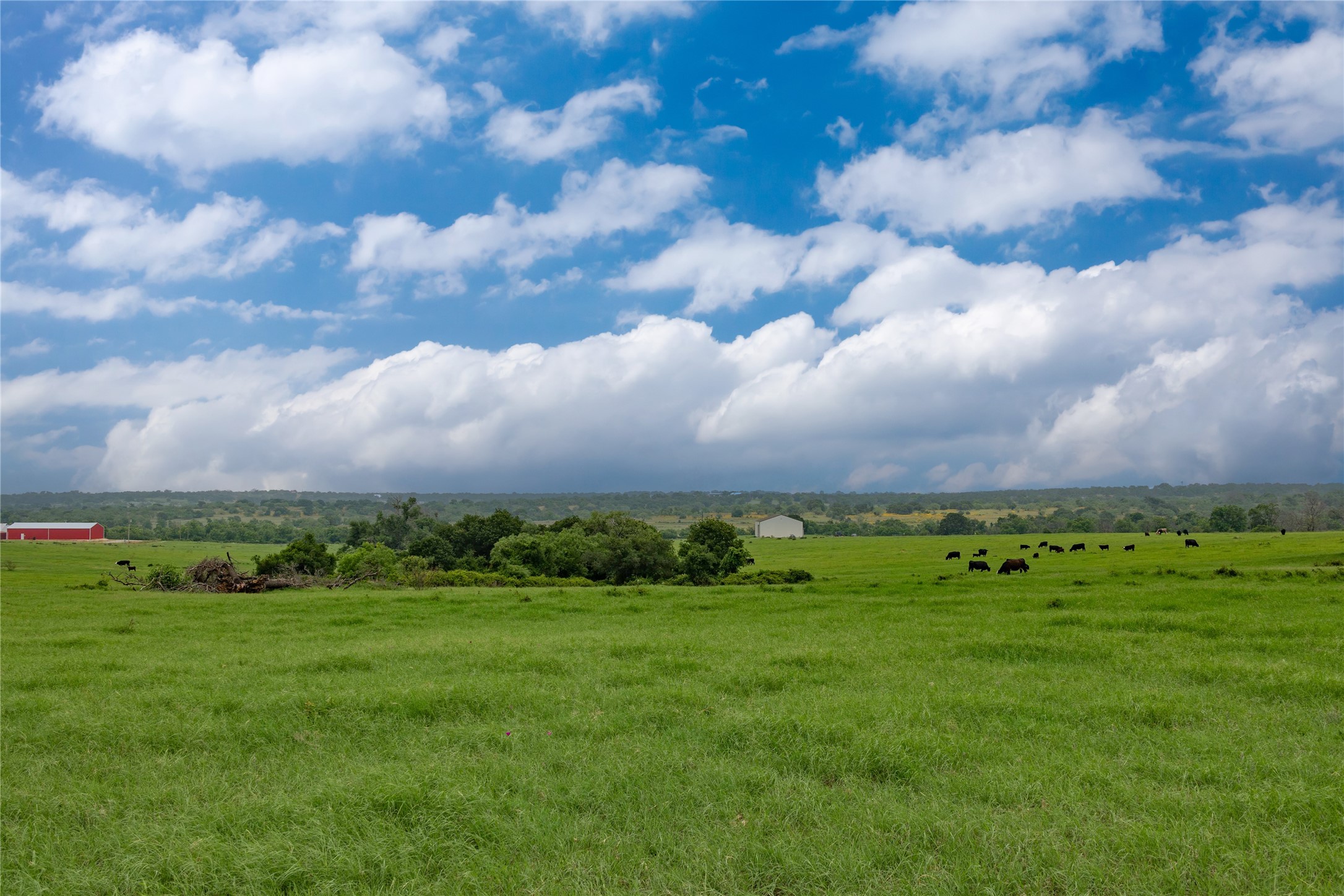 4799 Fm-45 Richland Springs TX 76871