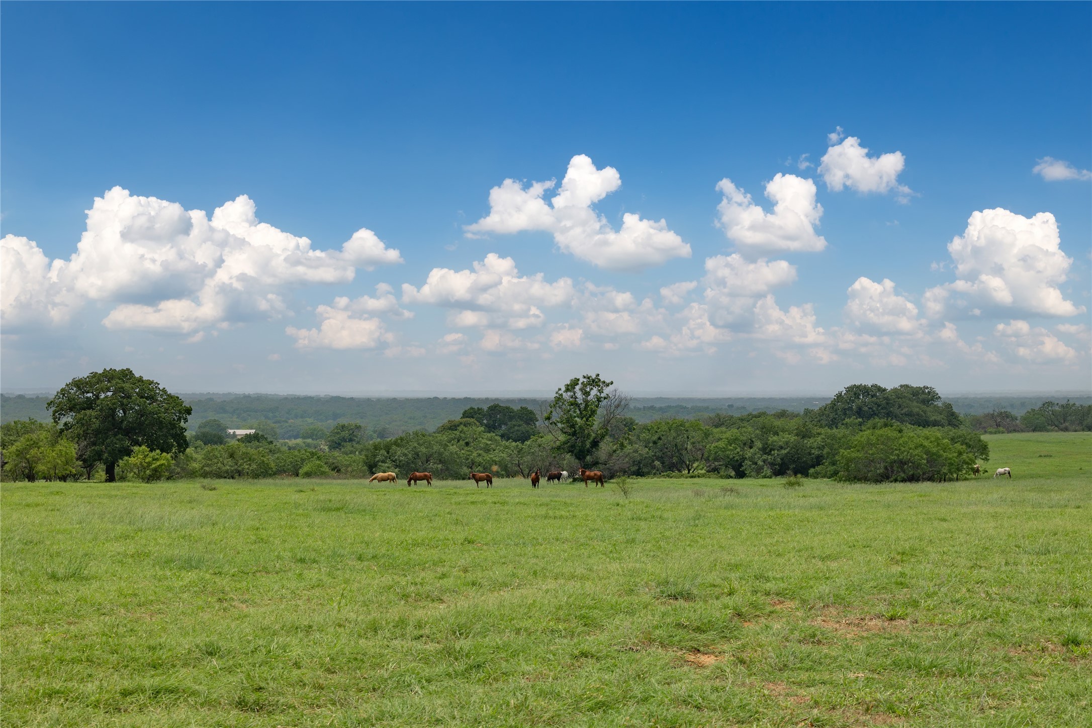 4799 Fm-45 Richland Springs TX 76871