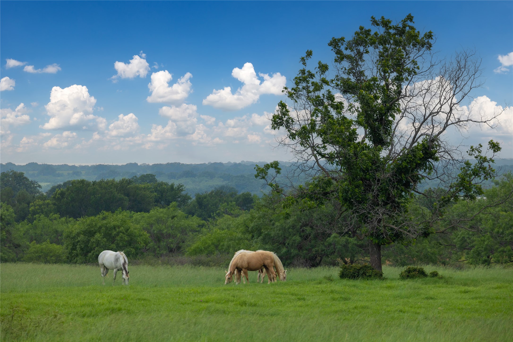 4799 Fm-45 Richland Springs TX 76871