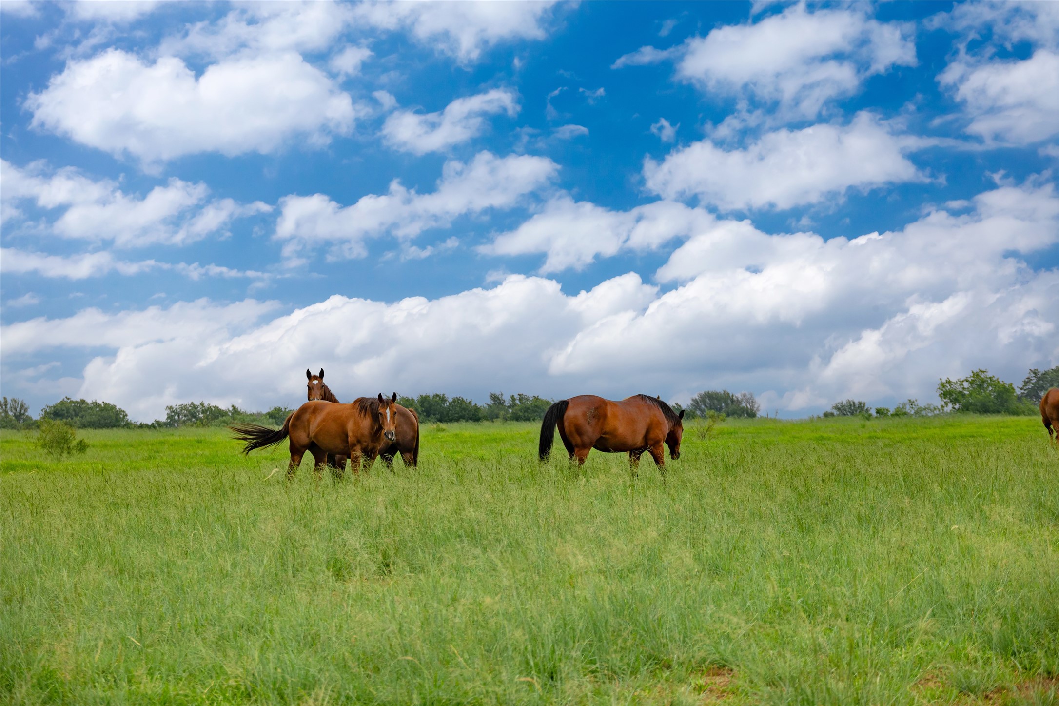 4799 Fm-45 Richland Springs TX 76871