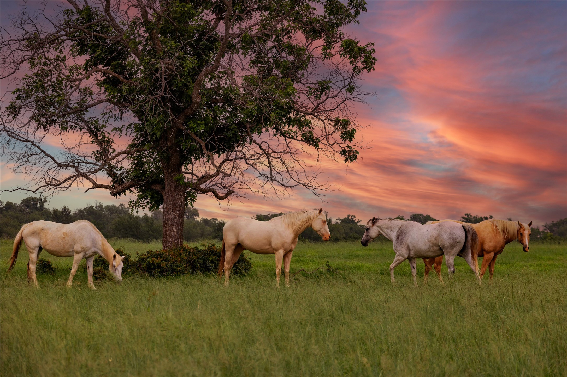 4799 Fm-45 Richland Springs TX 76871