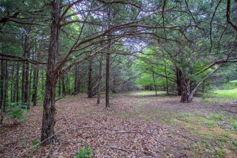 740 Palmilla Drive Gordonville TX 76245
