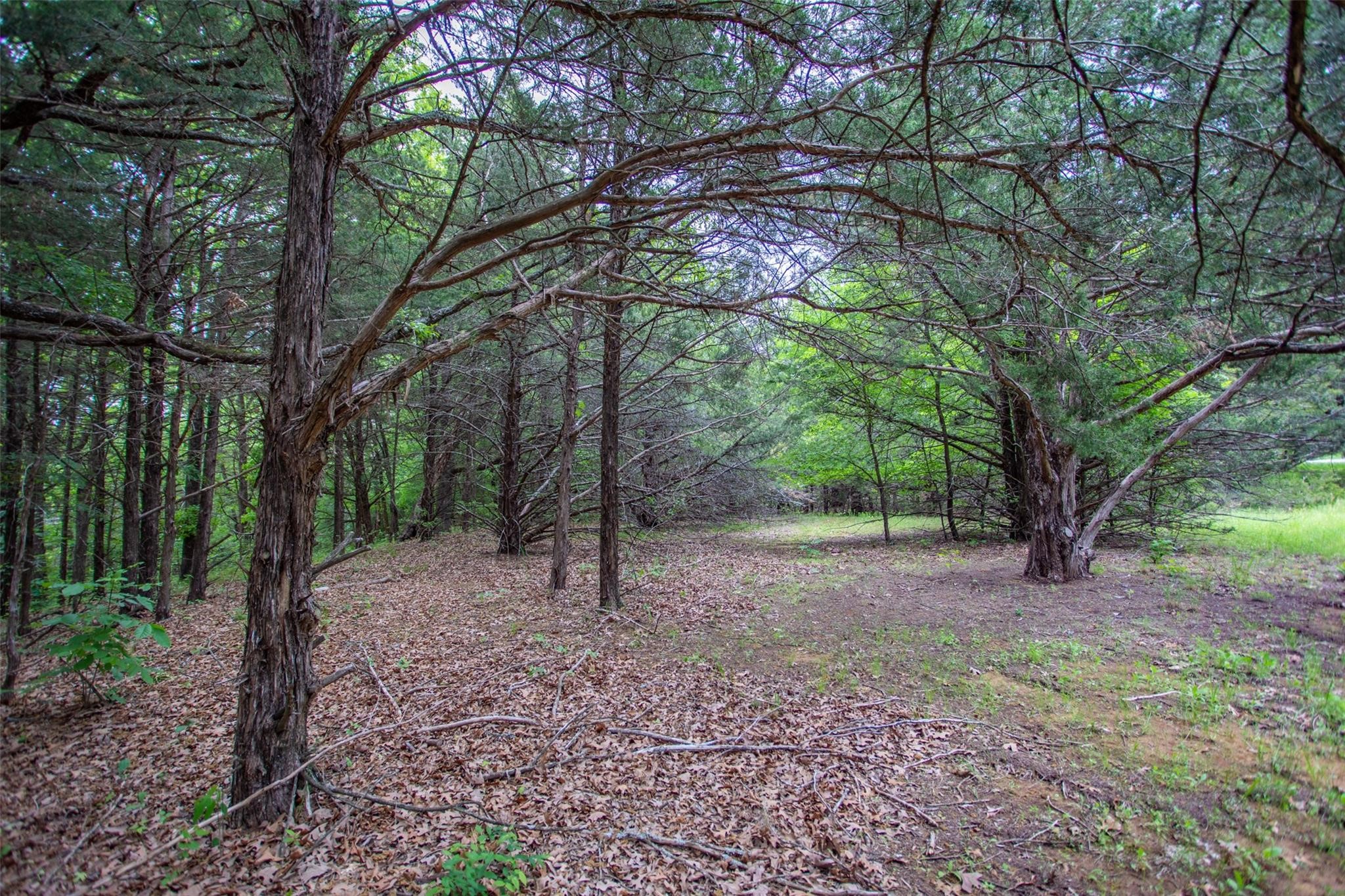740 Palmilla Drive Gordonville TX 76245