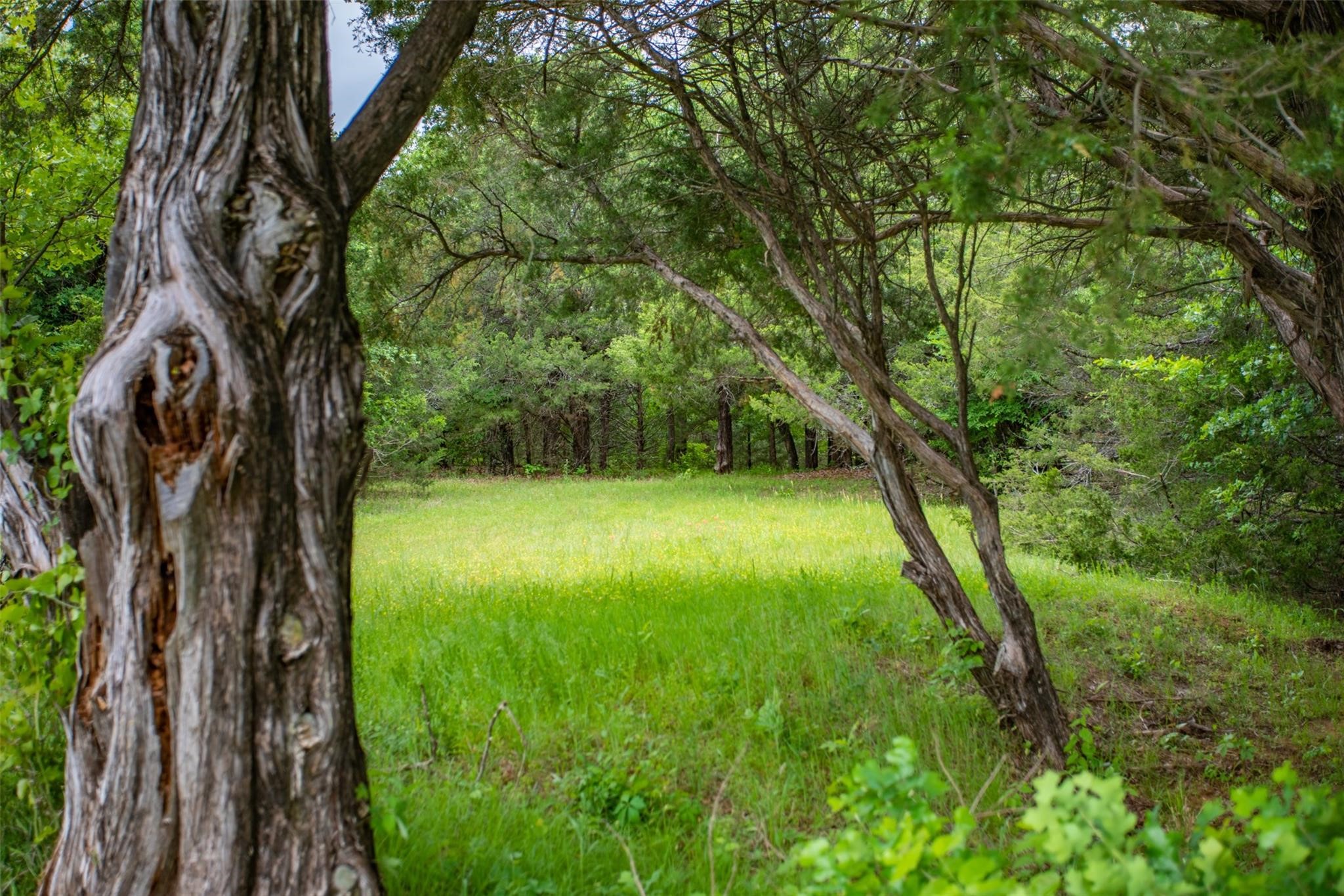 740 Palmilla Drive Gordonville TX 76245