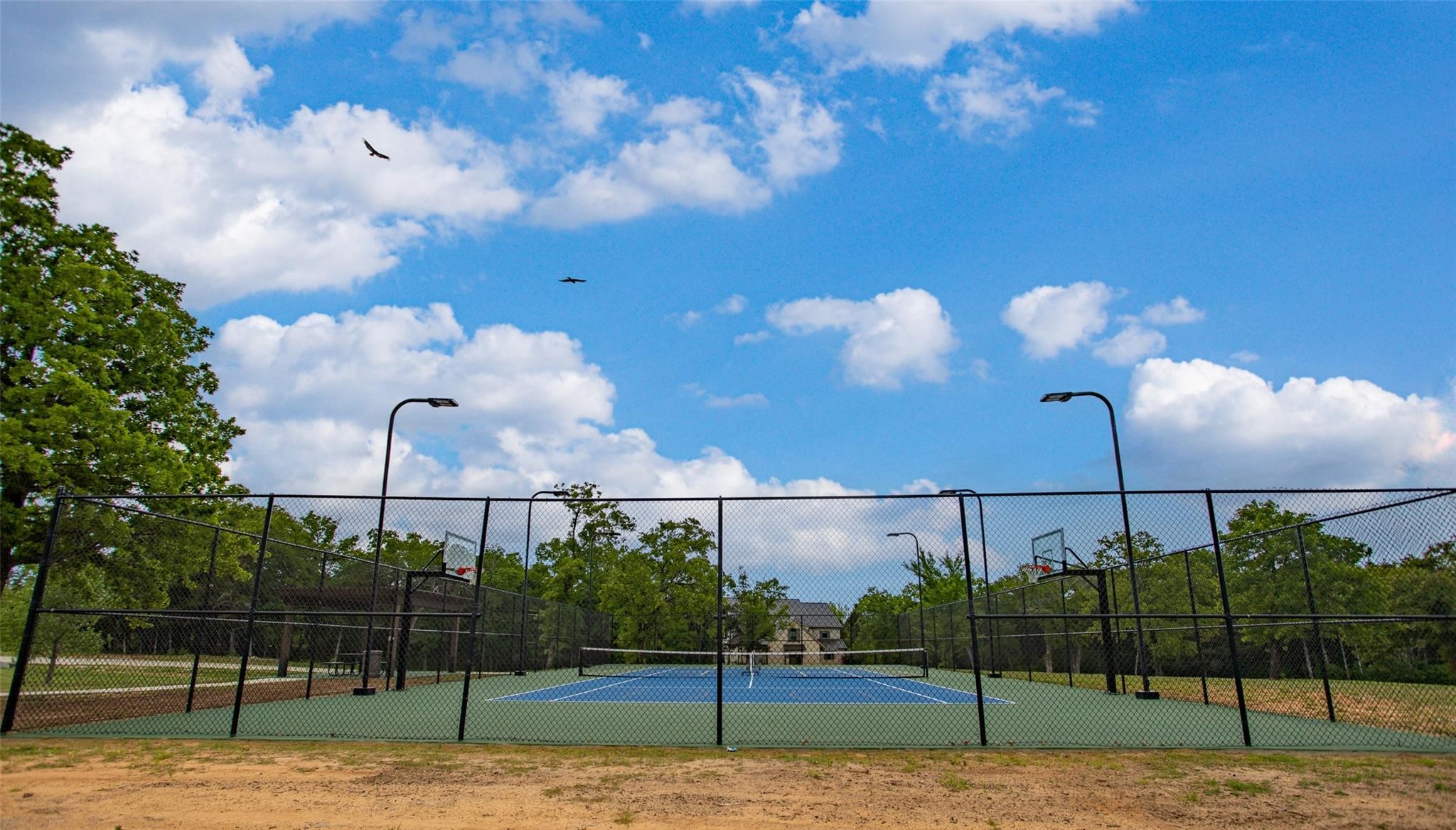 740 Palmilla Drive Gordonville TX 76245