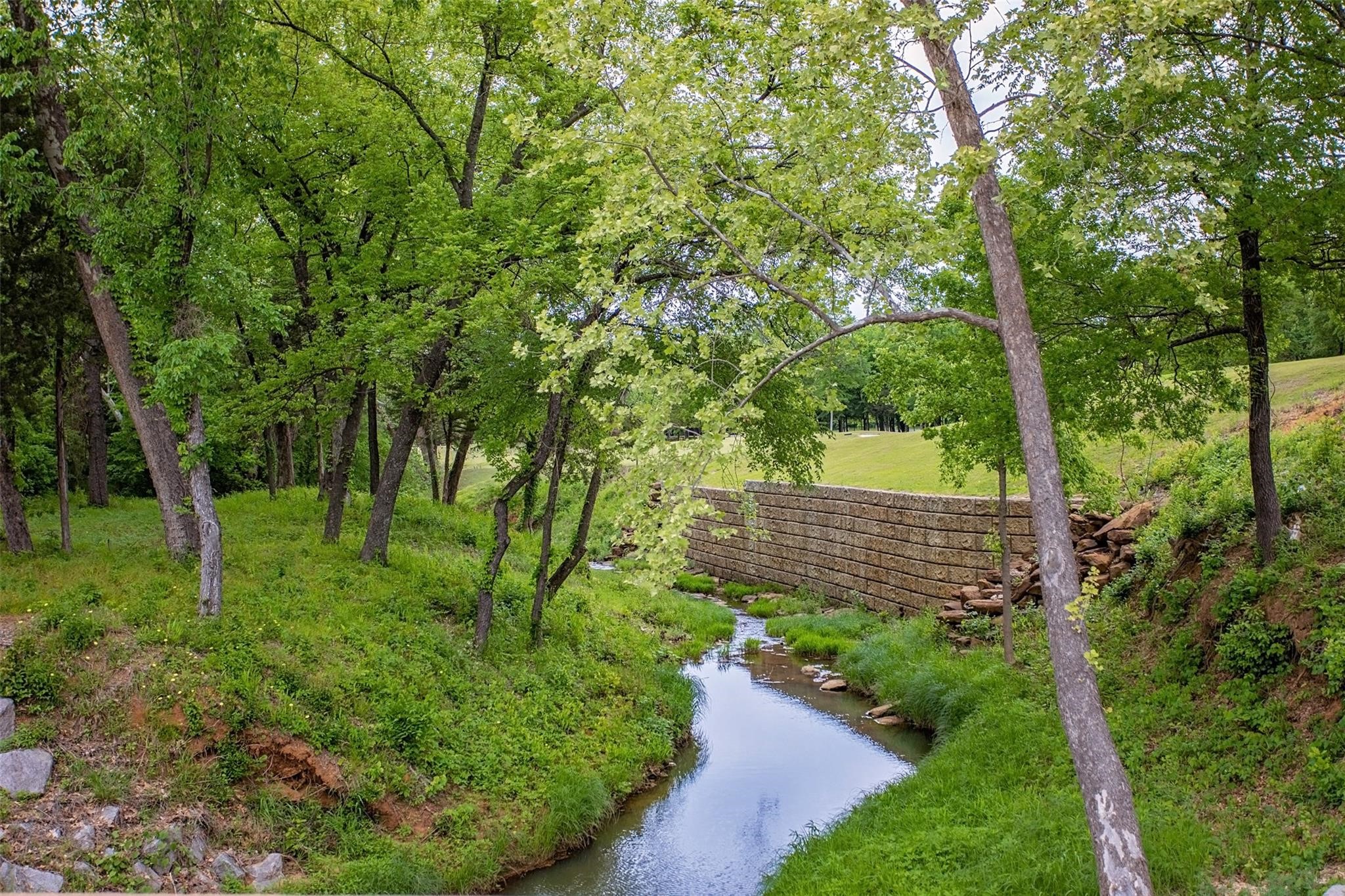 740 Palmilla Drive Gordonville TX 76245