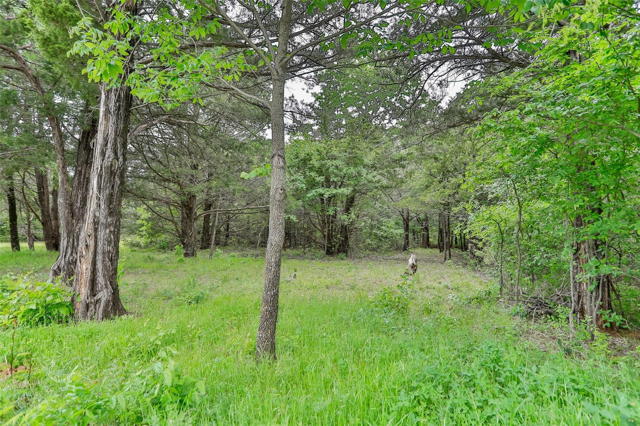 740 Palmilla Drive Gordonville TX 76245