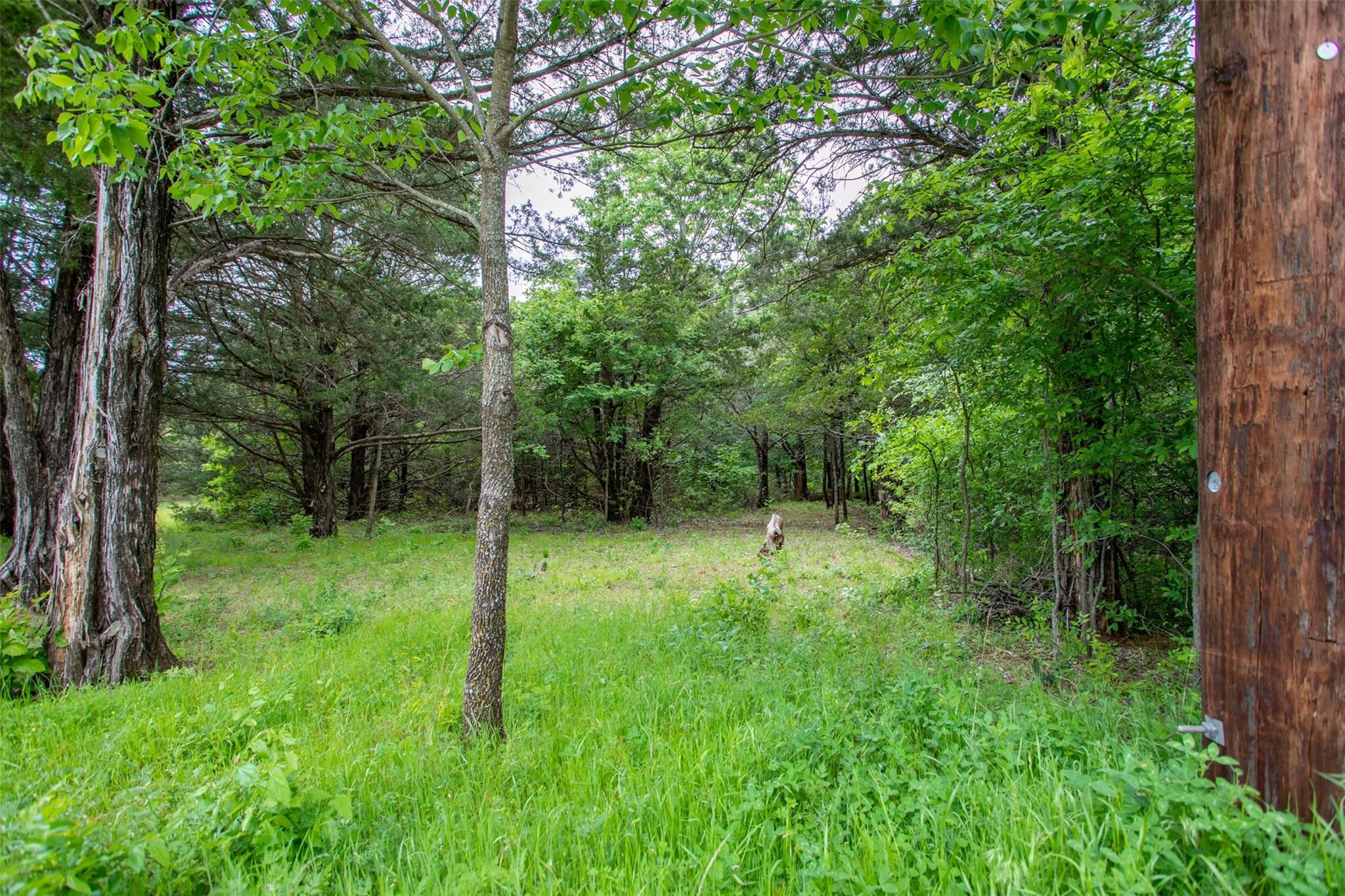 740 Palmilla Drive Gordonville TX 76245