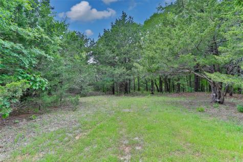 740 Palmilla Drive Gordonville TX 76245