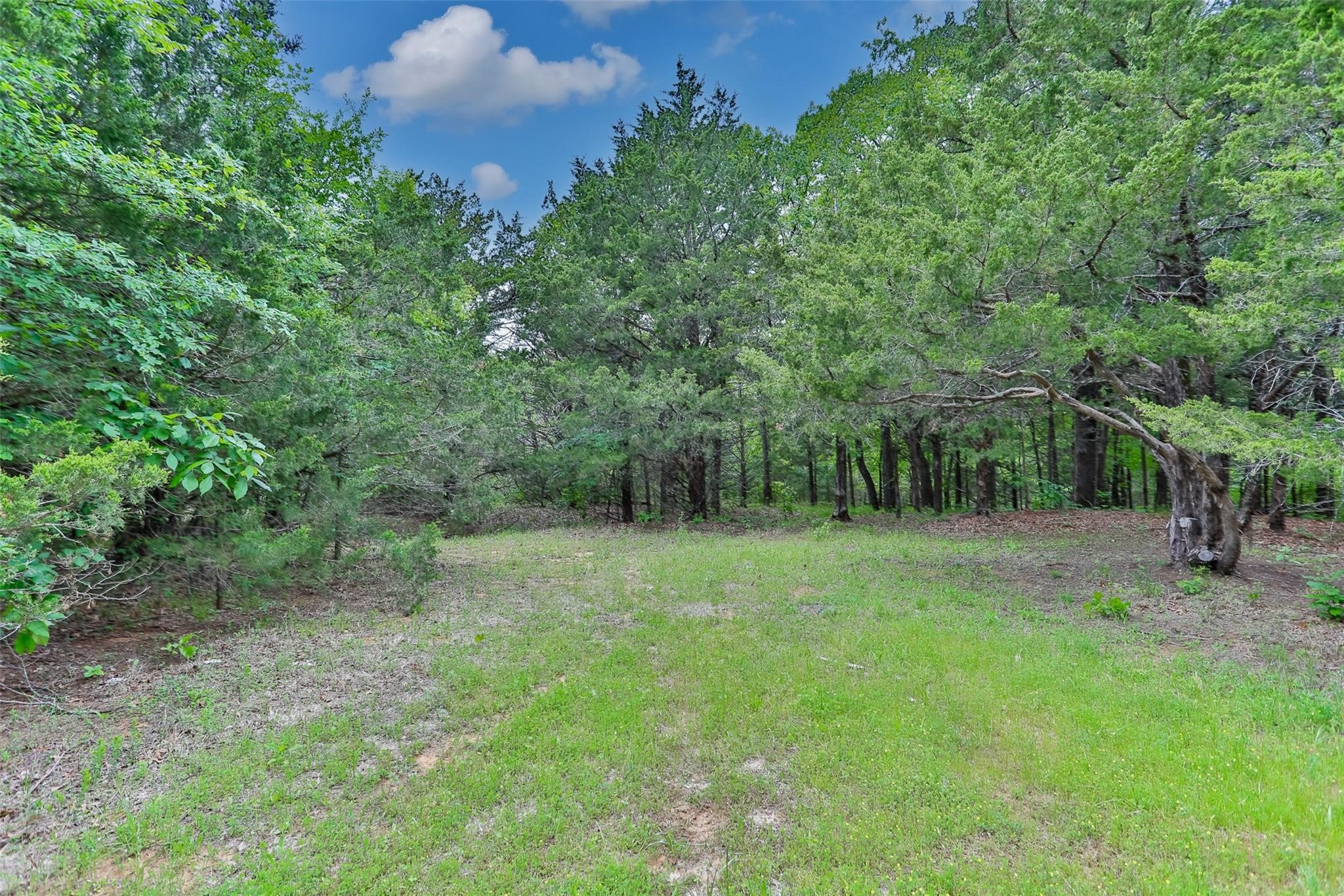 740 Palmilla Drive Gordonville TX 76245