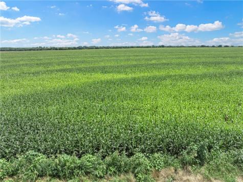 Tbd Cottonwood Road West TX 76691