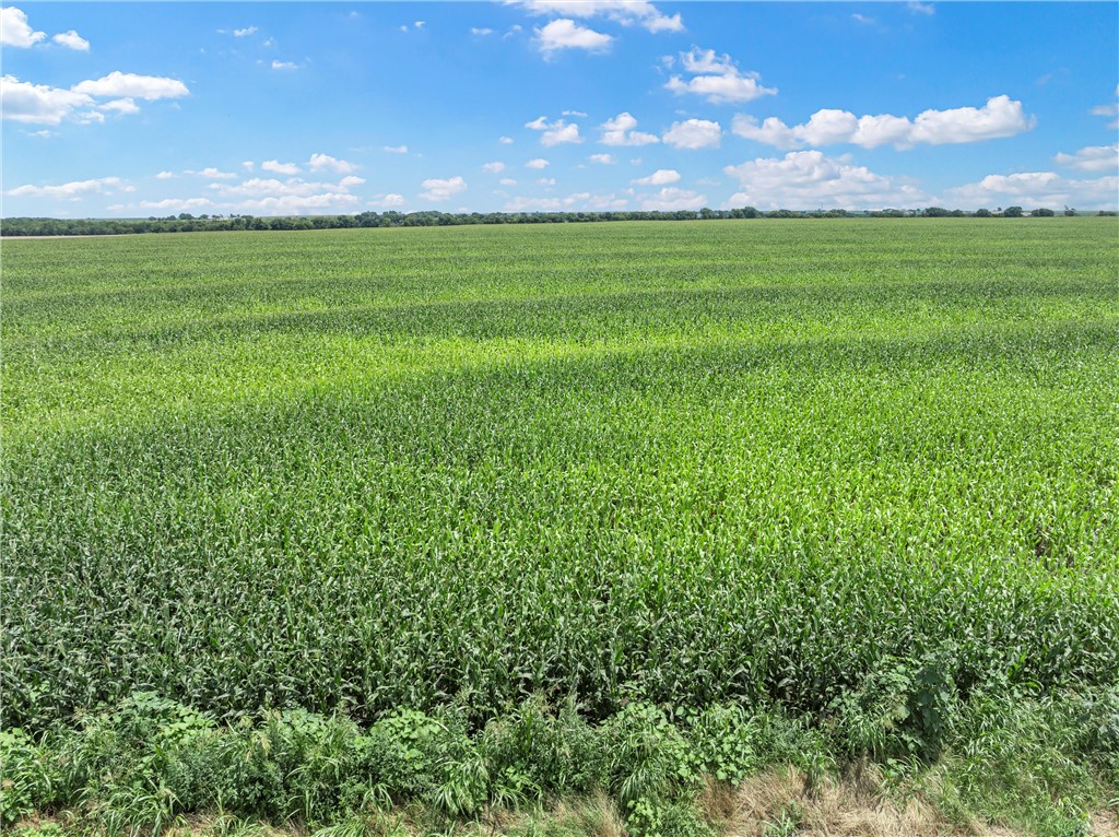 Tbd Cottonwood Road West TX 76691