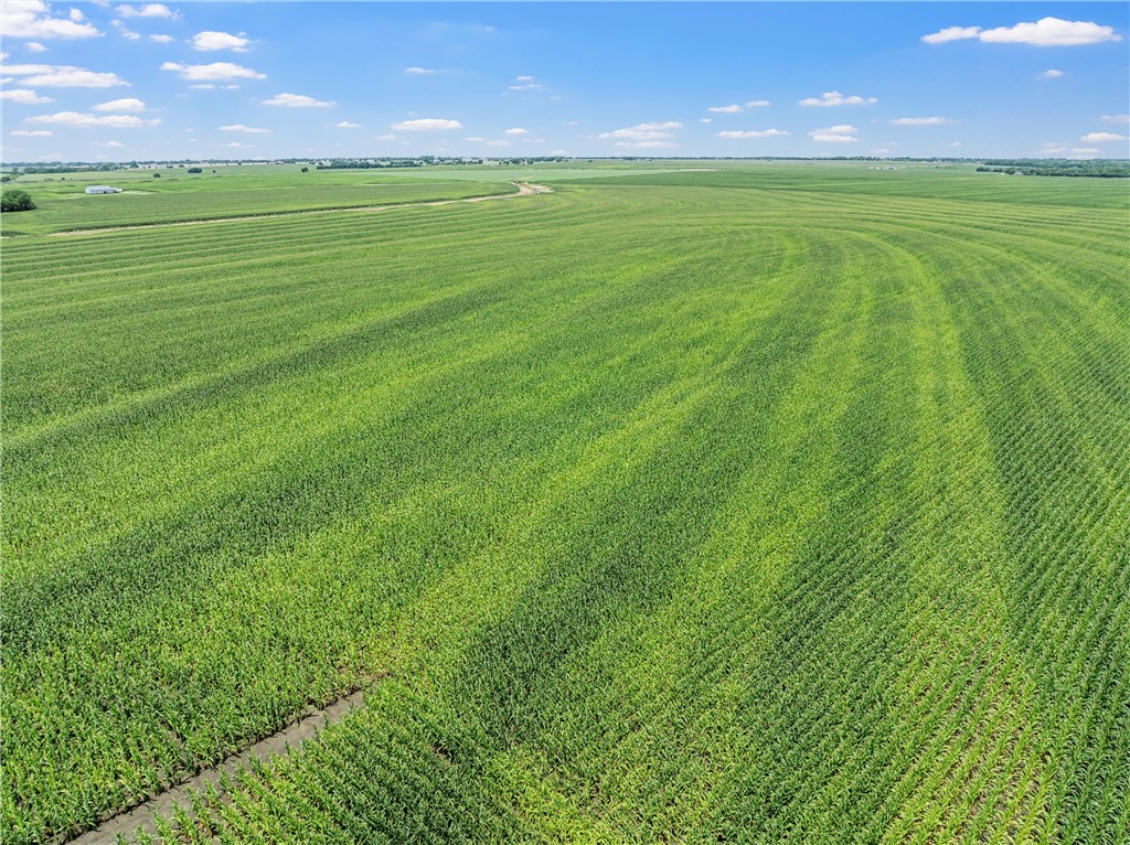 Tbd Cottonwood Road West TX 76691