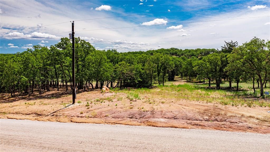 310 Rolling Bend Alvord TX 76225