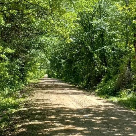 32 Acres County Road 2425 Como TX 75431