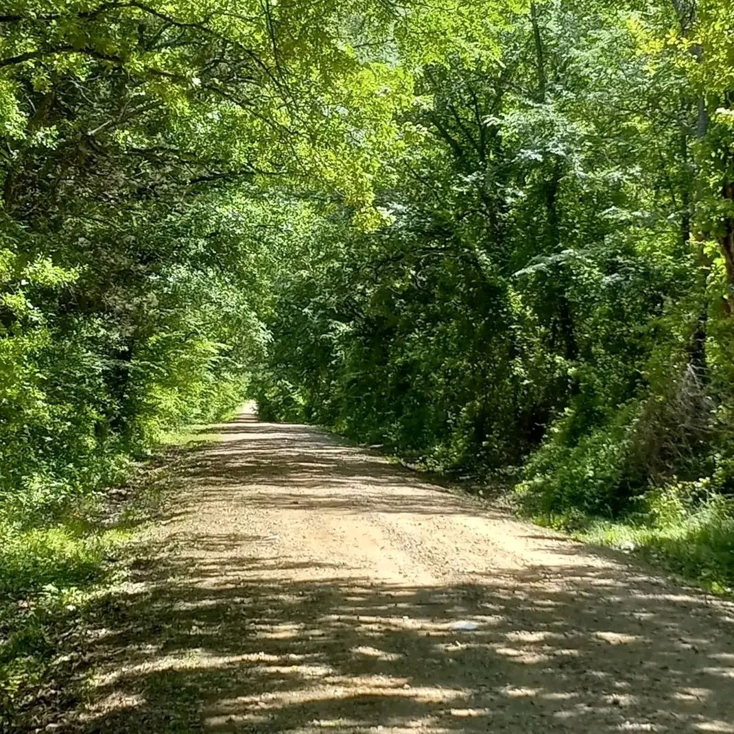 32 Acres County Road 2425 Como TX 75431