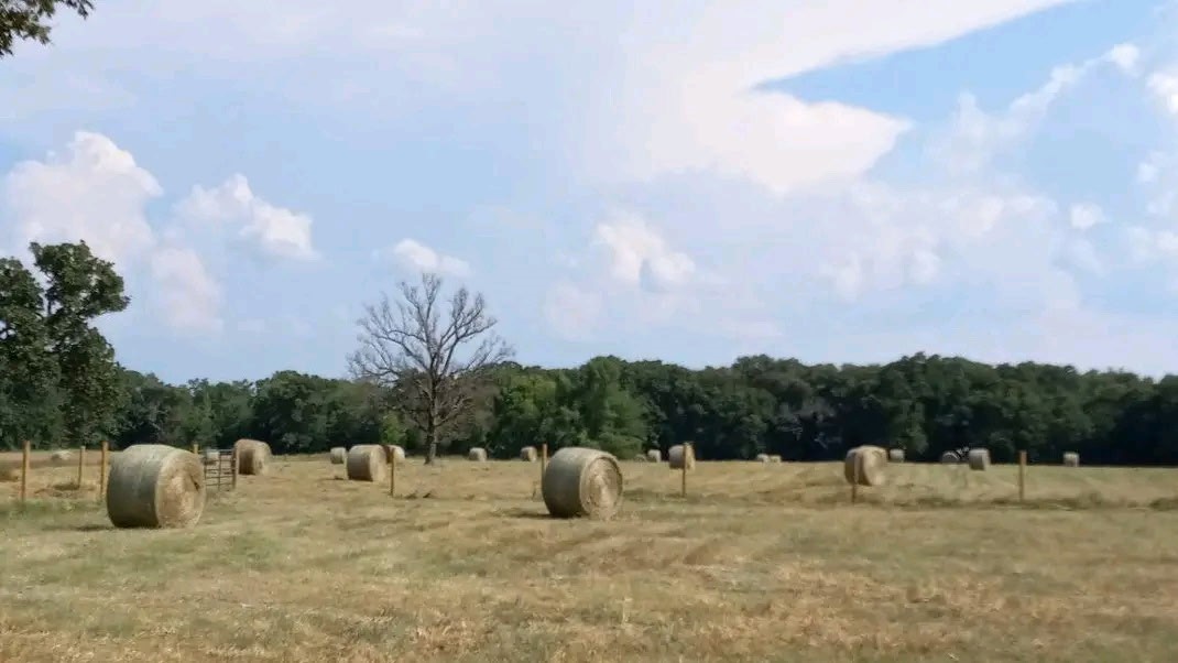 32 Acres County Road 2425 Como TX 75431