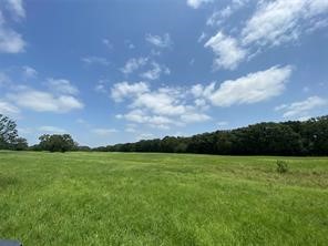 32 Acres County Road 2425 Como TX 75431