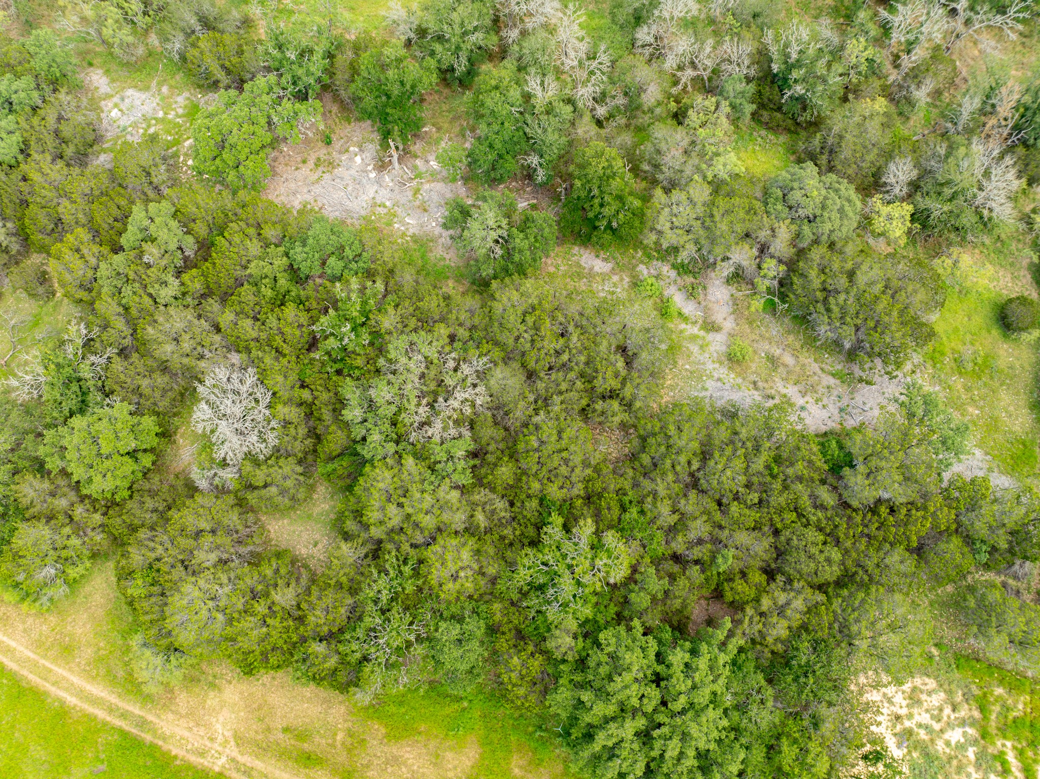 1070 County Road 162 Evant TX 76525