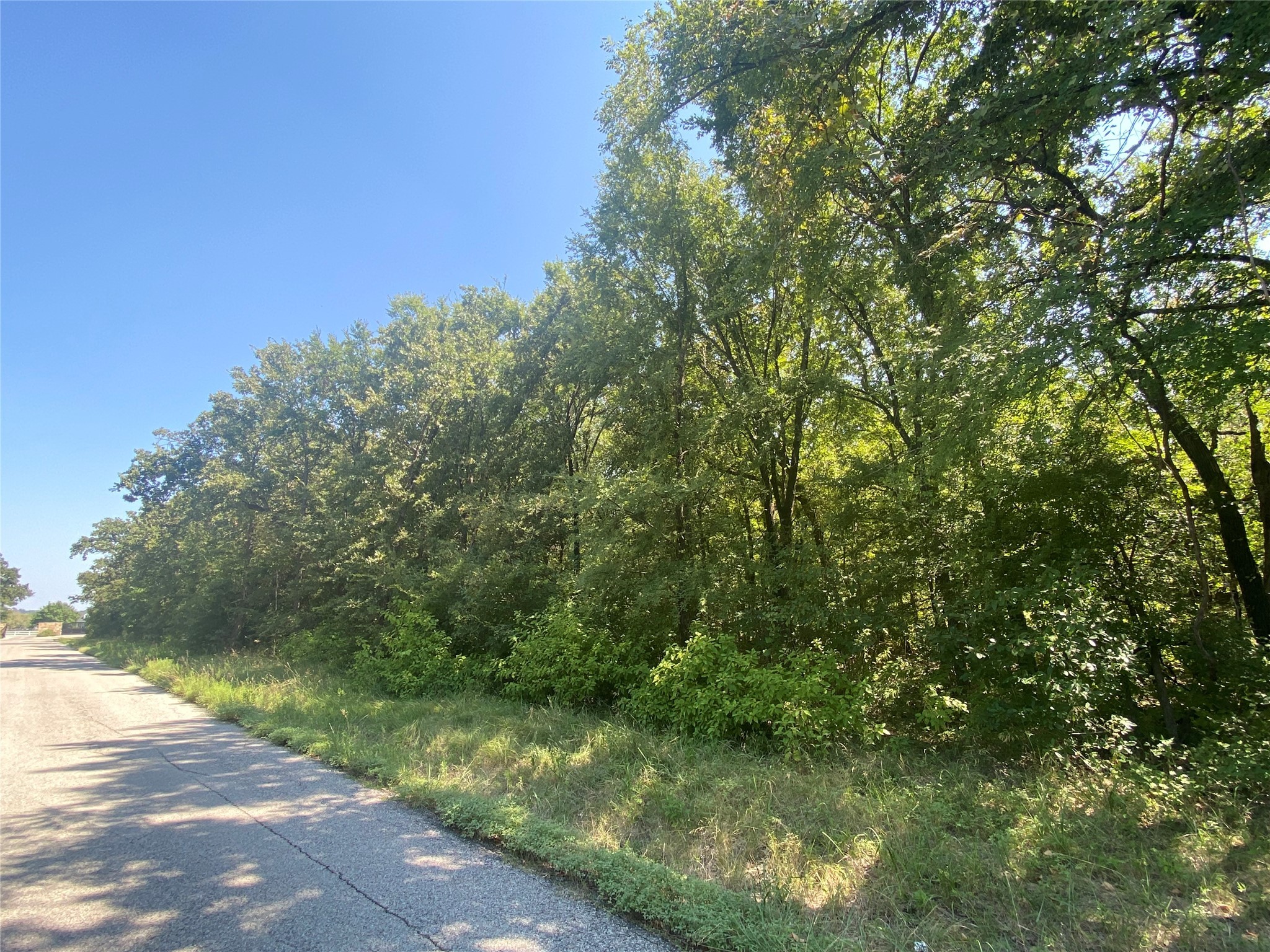 101 Heritage Springs Drive Brock TX 76087