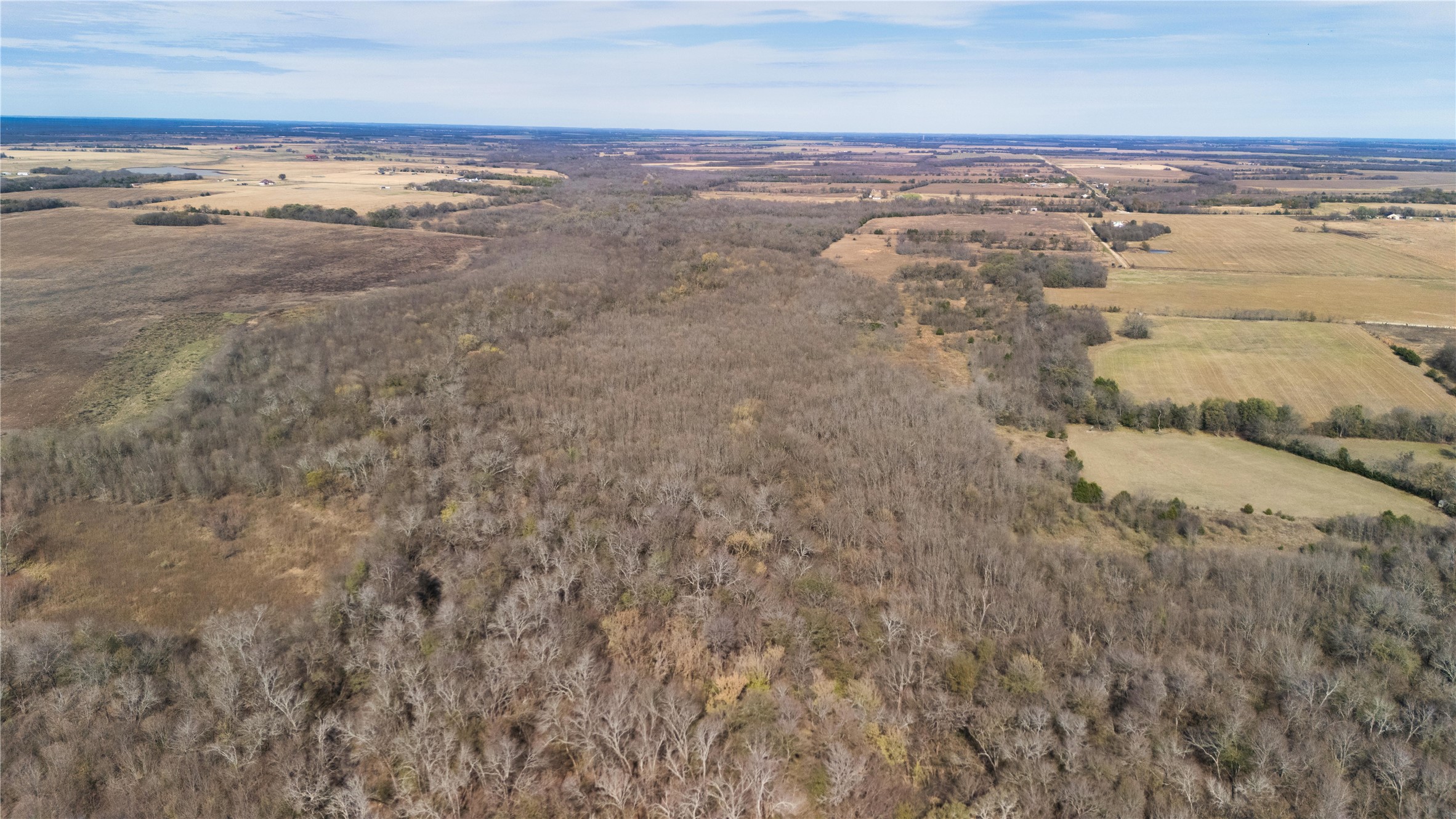 Tract 8 County Road 2158 Cooper TX 75432