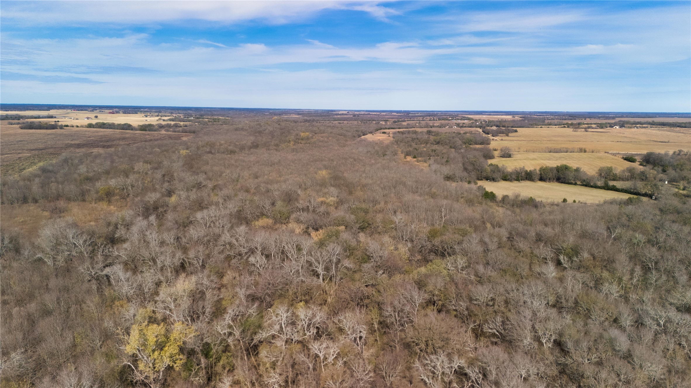 Tract 8 County Road 2158 Cooper TX 75432