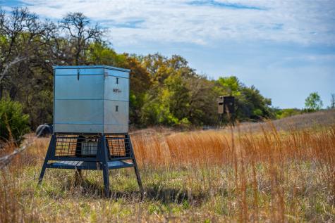 231 Georgia Pass Desdemona TX 76445