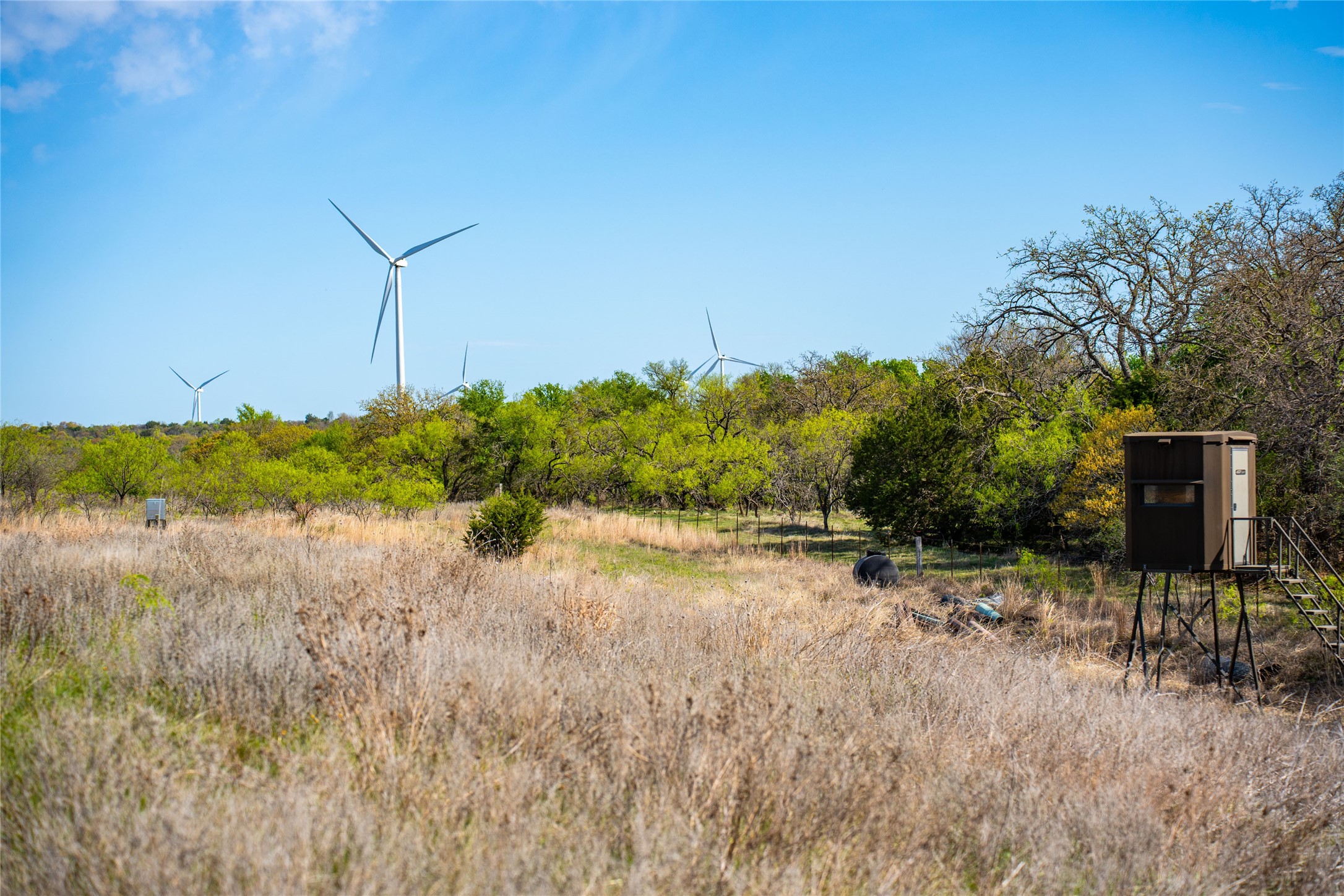 231 Georgia Pass Desdemona TX 76445