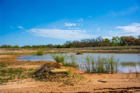 231 Georgia Pass Desdemona TX 76445