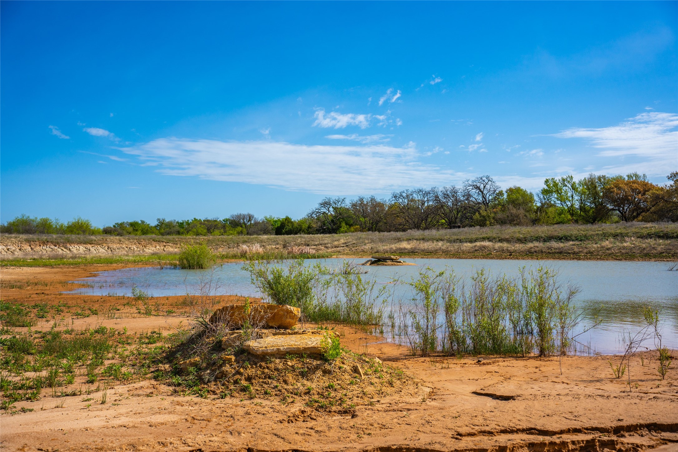 231 Georgia Pass Desdemona TX 76445