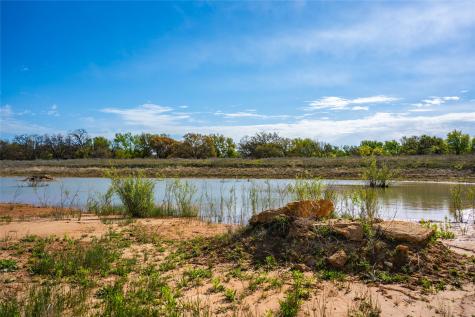 231 Georgia Pass Desdemona TX 76445