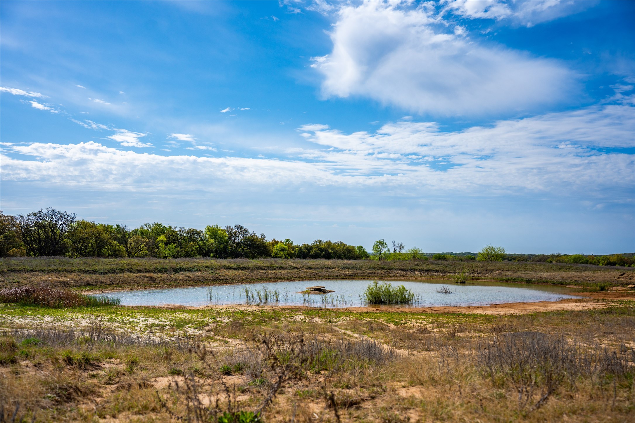 231 Georgia Pass Desdemona TX 76445