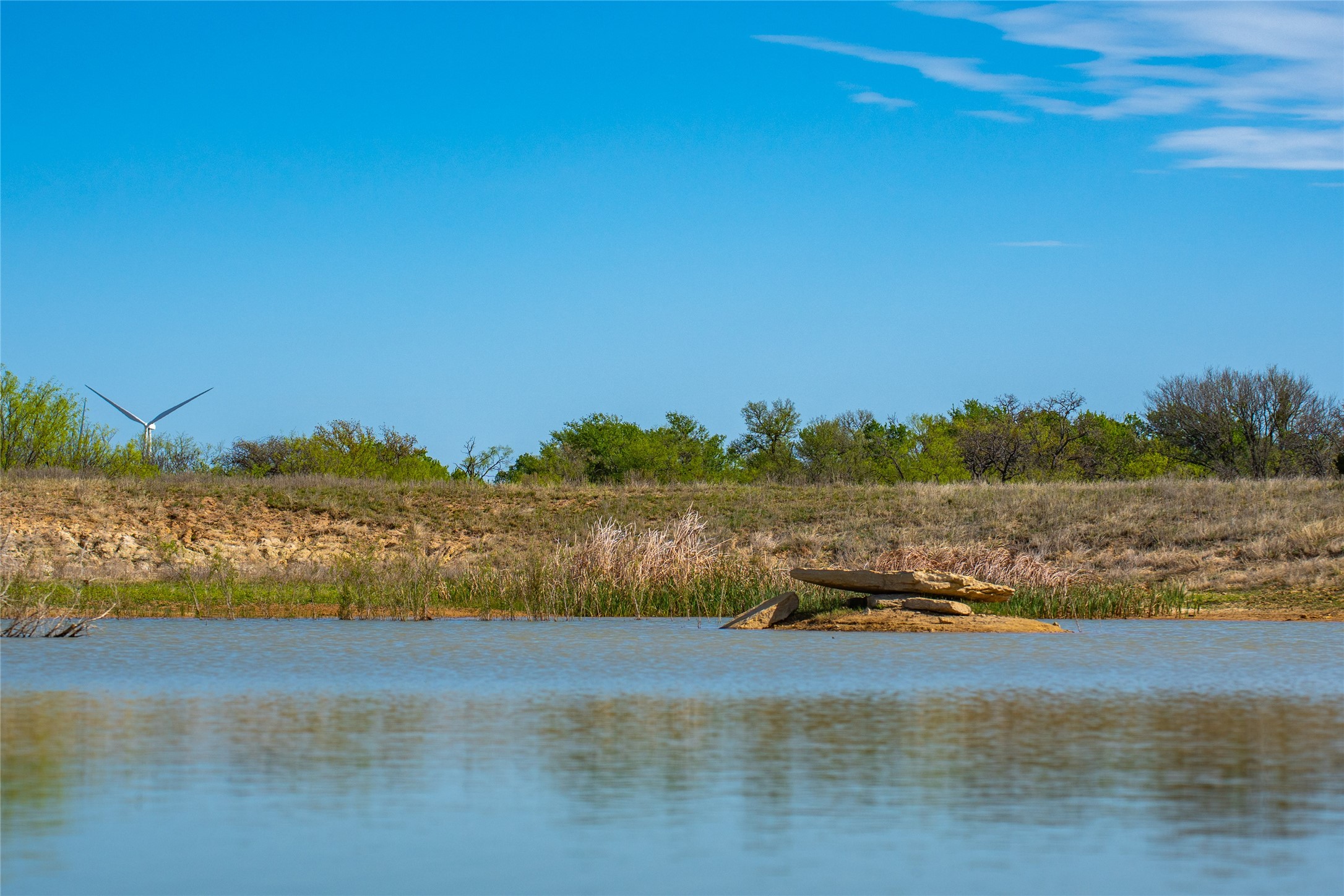 231 Georgia Pass Desdemona TX 76445