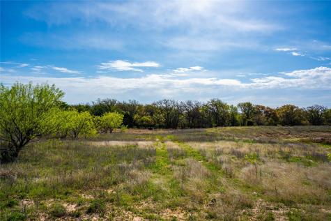 231 Georgia Pass Desdemona TX 76445