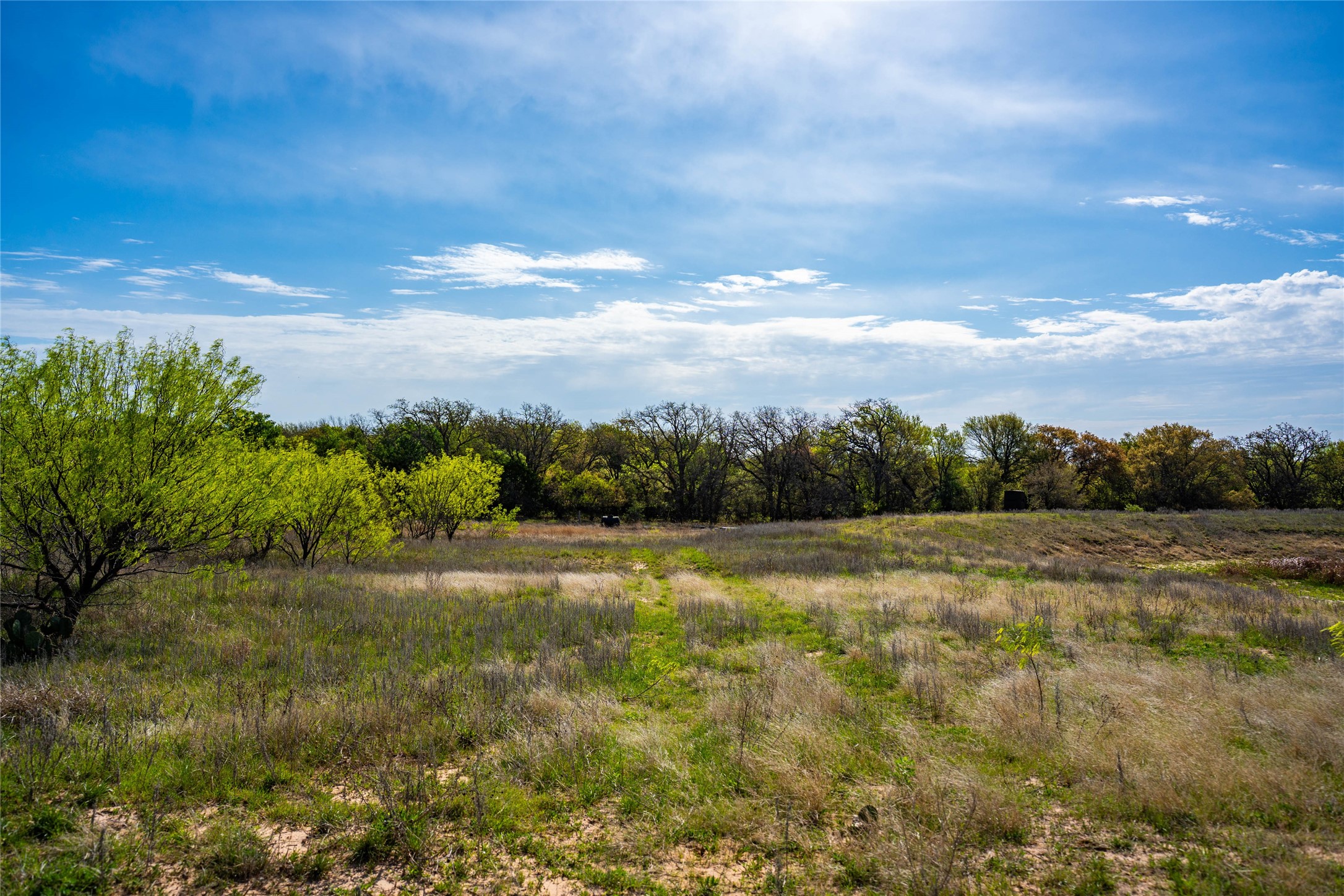 231 Georgia Pass Desdemona TX 76445