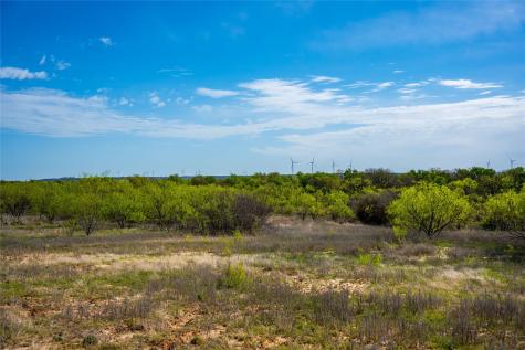 231 Georgia Pass Desdemona TX 76445