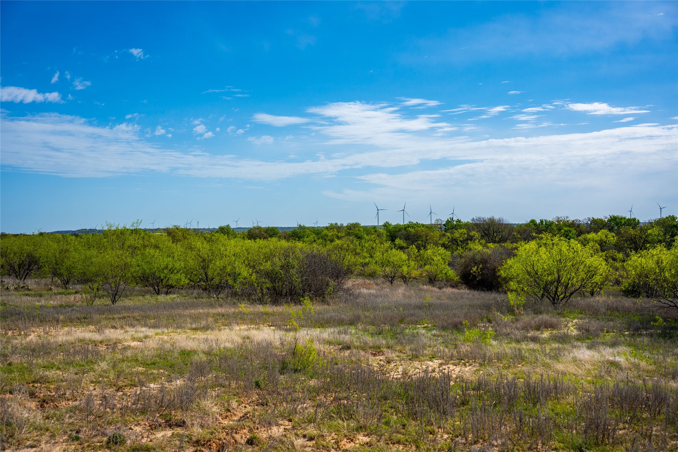 231 Georgia Pass Desdemona TX 76445