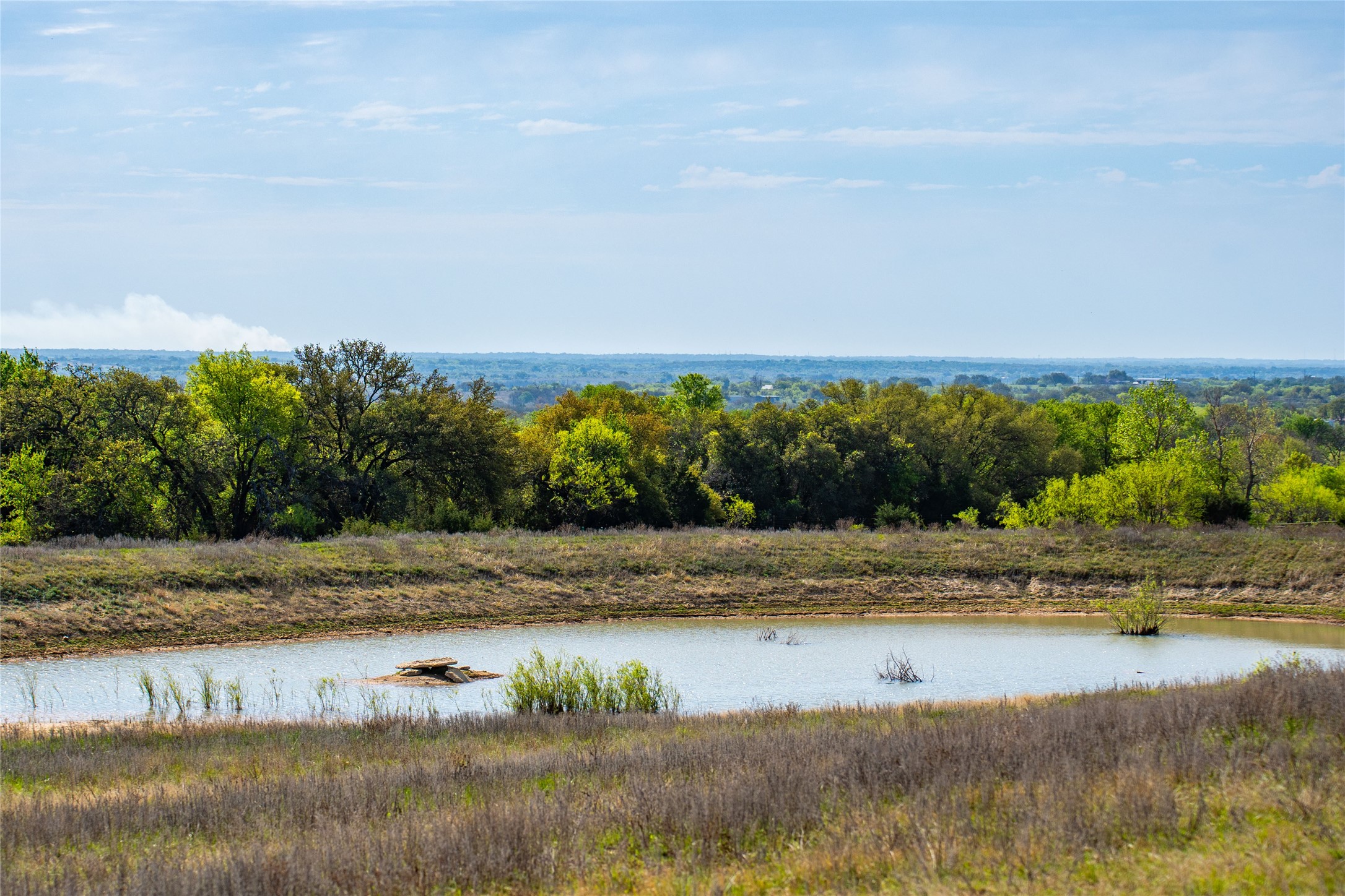 231 Georgia Pass Desdemona TX 76445
