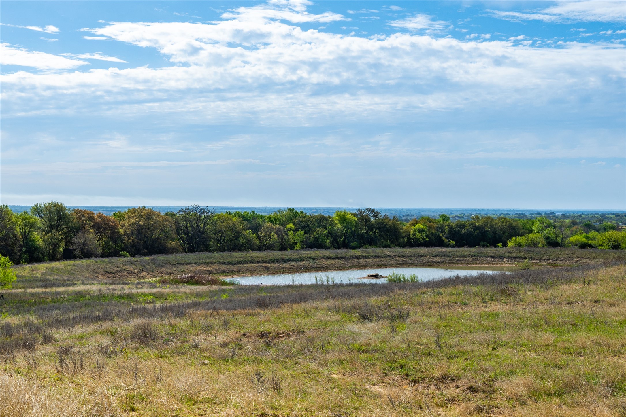 231 Georgia Pass Desdemona TX 76445