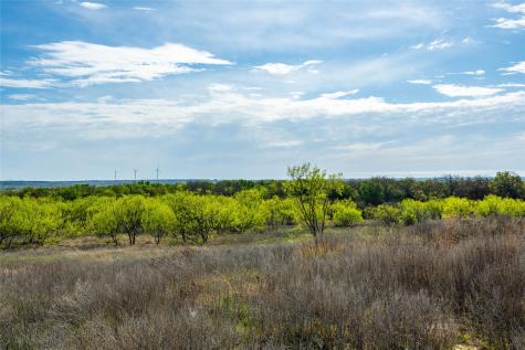 231 Georgia Pass Desdemona TX 76445