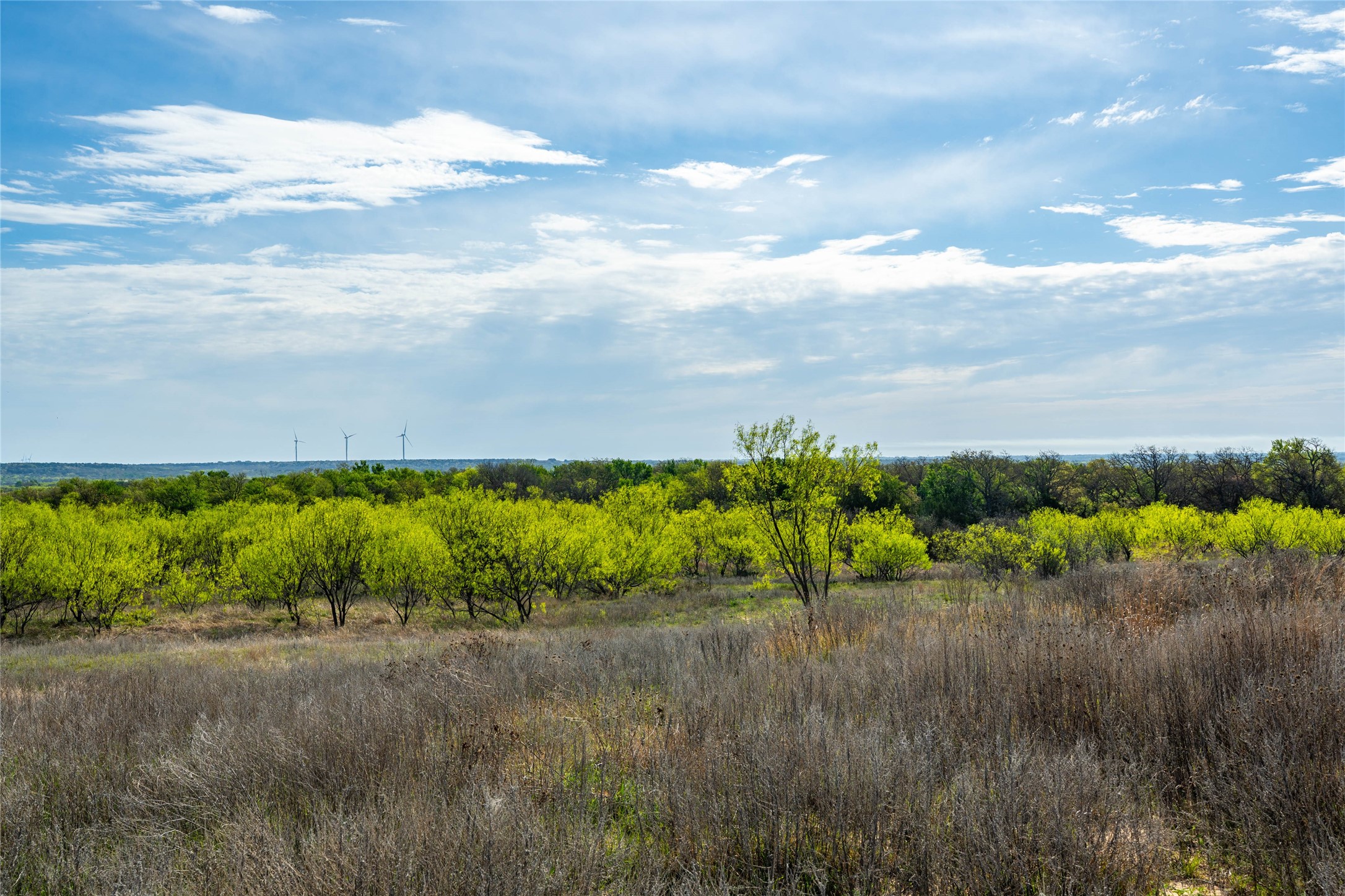 231 Georgia Pass Desdemona TX 76445