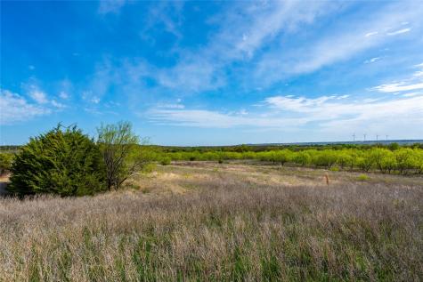 231 Georgia Pass Desdemona TX 76445