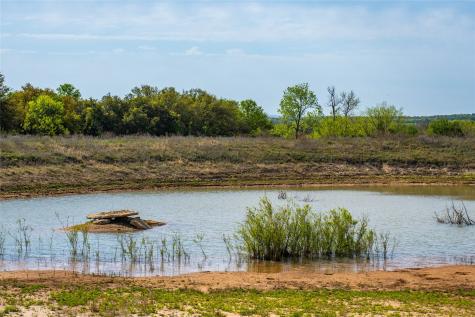 231 Georgia Pass Desdemona TX 76445